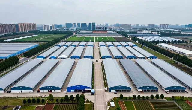 如何选择适合企业的小程序商城适配方案